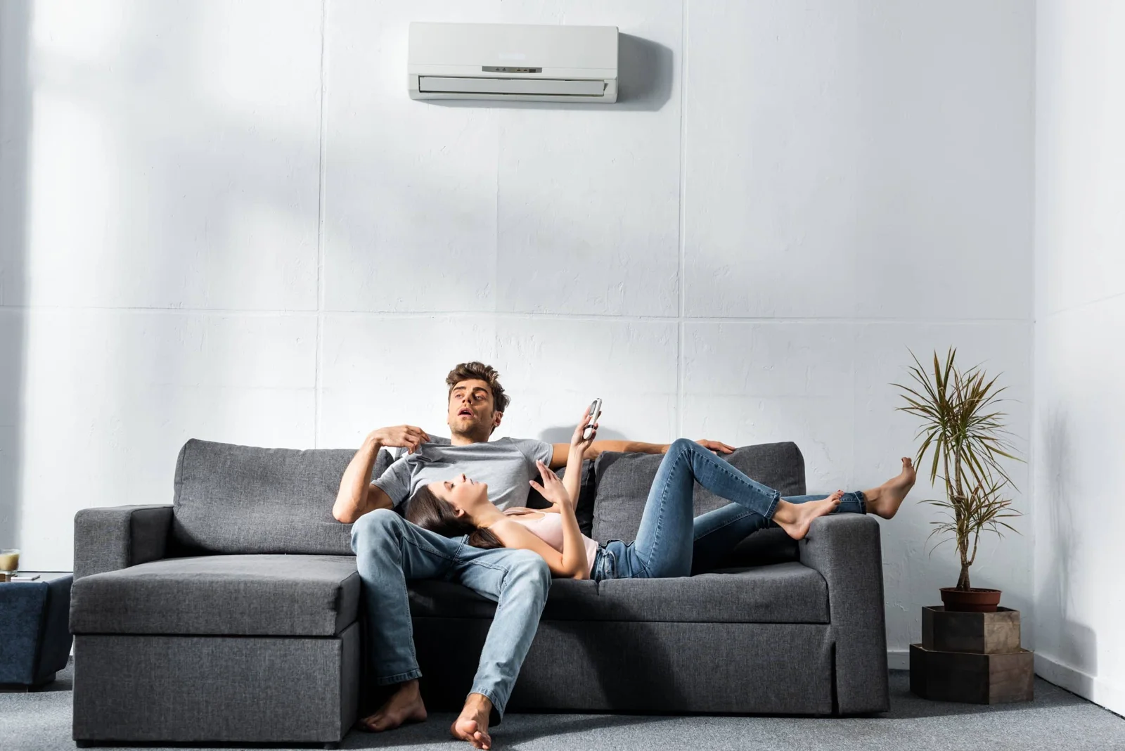 Binnenunit in een ingerichte woonkamer